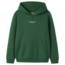 суичър,детски,блузи,name,it,brody,hoodie,green,(verdant,green,jet,stream,print)
