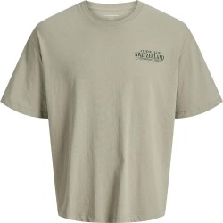 Тениска Jack & jones Alpine short sleeve T-shirt - Beige (Seagrass) тениска,мъжки,тениски,дамски,тениски,jack,&,jones,alpine,short,sleeve,t,shirt,beige,(seagrass)