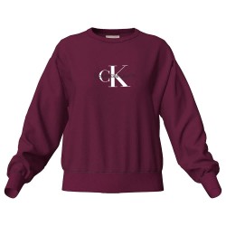 Блуза Calvin klein jeans LV047E825G sweatshirt - Purple (Berry Glaze) блуза,дамски,блузи,calvin,klein,jeans,lv047e825g,sweatshirt,purple,(berry,glaze)