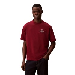 тениска,мъжки,тениски,дамски,тениски,calvin,klein,jeans,lv04rc856g,short,sleeve,t,shirt,red,(renaissance,red)