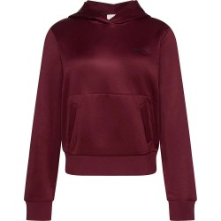 суичър,дамски,блузи,calvin,klein,jeans,lv144c223g,hoodie,purple,(deep,rouge)