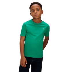 Тениска Calvin klein jeans LV1CKSJA30 T-shirt - Green (Lush Meadow) тениска,мъжки,тениски,дамски,тениски,calvin,klein,jeans,lv1cksja30,t,shirt,green,(lush,meadow)