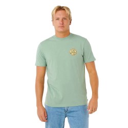 тениска,мъжки,тениски,дамски,тениски,rip,curl,streamline,palmy,short,sleeve,t,shirt,green,(aloe)