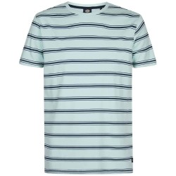 тениска,мъжки,тениски,дамски,тениски,petrol,industries,m,1060,tsr120,short,sleeve,t,shirt,blue,(cool,mint)