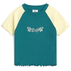 Тениска O´neill Color Block Rib short sleeve T-shirt - Blue (Botanical Heat Colour Block) тениска,мъжки,тениски,дамски,тениски,o´neill,color,block,rib,short,sleeve,t,shirt,blue,(botanical,heat,colour,block)