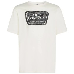 тениска,мъжки,тениски,дамски,тениски,o´neill,graphic,short,sleeve,t,shirt,white,(snow,white,2)