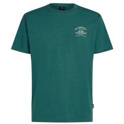 Тениска O´neill Melange Chest Print short sleeve T-shirt - Green (Botanical Heat) тениска,мъжки,тениски,дамски,тениски,o´neill,melange,chest,print,short,sleeve,t,shirt,green,(botanical,heat)
