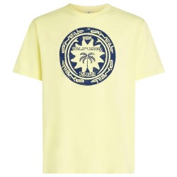 тениска,мъжки,тениски,дамски,тениски,o´neill,musthave,graphic,short,sleeve,t,shirt,yellow,(rainforest,dew)