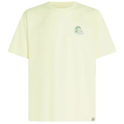 тениска,мъжки,тениски,дамски,тениски,o´neill,o´riginals,70´s,graphic,short,sleeve,t,shirt,beige,(rainforest,dew)