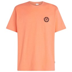 тениска,мъжки,тениски,дамски,тениски,o´neill,slub,back,print,short,sleeve,t,shirt,orange,(funky,peach)
