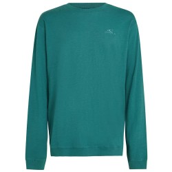 тениска,мъжки,тениски,дамски,тениски,o´neill,slub,long,sleeve,t,shirt,green,(botanical,heat)