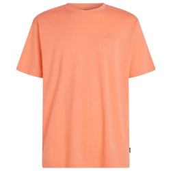 тениска,мъжки,тениски,дамски,тениски,o´neill,small,logo,short,sleeve,t,shirt,orange,(funky,peach)