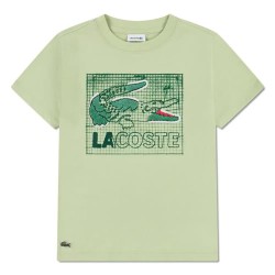 детска,тениска,мъжки,тениски,дамски,тениски,lacoste,kids,947583,short,sleeve,t,shirt,green,(bouleau)