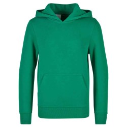 суичър,детски,блузи,build,your,brand,basic,hoodie,green,(green)