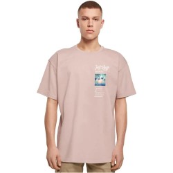 тениска,мъжки,тениски,дамски,тениски,just,rhyse,zoar,short,sleeve,t,shirt,pink,(dusk,rose)