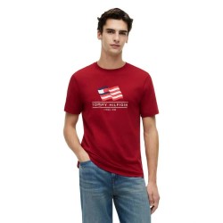 тениска,мъжки,тениски,дамски,тениски,tommy,hilfiger,main,flag,short,sleeve,t,shirt,red,(regatta,red)