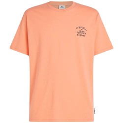 тениска,мъжки,тениски,дамски,тениски,o´neill,beach,chest,print,short,sleeve,t,shirt,orange,(funky,peach)
