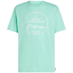тениска,мъжки,тениски,дамски,тениски,o´neill,beach,front,print,short,sleeve,t,shirt,green,blue,(antiguan,sky)
