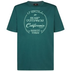 тениска,мъжки,тениски,дамски,тениски,o´neill,beach,front,print,short,sleeve,t,shirt,green,(botanical,heat)