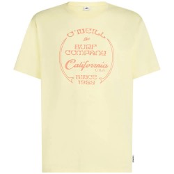 тениска,мъжки,тениски,дамски,тениски,o´neill,beach,front,print,short,sleeve,t,shirt,yellow,(rainforest,dew)