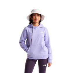 суичър,детски,блузи,the,north,face,evolution,box,hoodie,purple,(pale,plum)