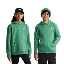 суичър,детски,блузи,the,north,face,evolution,simple,dome,hoodie,green,(dimmed,algae)