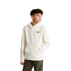 Суичър The north face Outdoor Graphic hoodie - White (White Dune) суичър,детски,блузи,the,north,face,outdoor,graphic,hoodie,white,(white,dune)