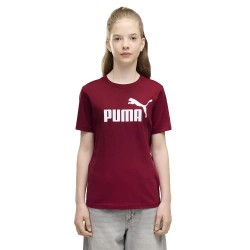 Тениска Puma Essential Nº1 Logo short sleeve T-shirt - Red (Garnet Glow) тениска,мъжки,тениски,дамски,тениски,puma,essential,nº1,logo,short,sleeve,t,shirt,red,(garnet,glow)