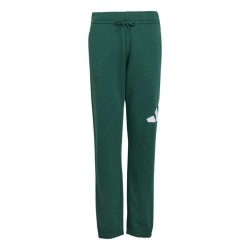 анцуг,мъжки,панталони,дамски,панталони,adidas,essentials,big,logo,french,terry,joggers,green,(collegiate,green,white)