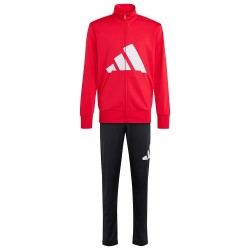 Анцуг Adidas Essentials Climacool tracksuit - Red (Pure Ruby / White) анцуг,детски,анцузи,adidas,essentials,climacool,tracksuit,red,(pure,ruby,white)