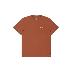 тениска,мъжки,тениски,дамски,тениски,billabong,arch,crew,short,sleeve,t,shirt,brown,(tortoise,shell)