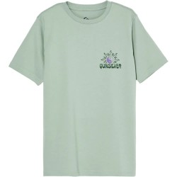 тениска,мъжки,тениски,дамски,тениски,quiksilver,fusion,short,sleeve,t,shirt,green,(iceberg,green)