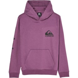 суичър,детски,блузи,quiksilver,omni,logo,hoodie,purple,(grape,jam)