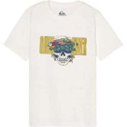 Тениска Quiksilver Paradise Point short sleeve T-shirt - White (Snow White) тениска,мъжки,тениски,дамски,тениски,quiksilver,paradise,point,short,sleeve,t,shirt,white,(snow,white)