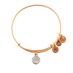 Alex and ani A12EB243RG bracelet - Golden (Gold / White) бижутерия,alex,and,ani,a12eb243rg,bracelet,golden,(gold,white)