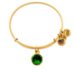 Alex and ani A12EB244RG bracelet - Golden (Gold / Green) бижутерия,alex,and,ani,a12eb244rg,bracelet,golden,(gold,green)