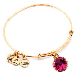 Alex and ani A12EB249RG bracelet - Golden (Gold / Pink) бижутерия,alex,and,ani,a12eb249rg,bracelet,golden,(gold,pink)
