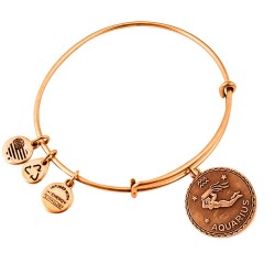 Alex and ani Aquarium bracelet - Golden (Gold) бижутерия,alex,and,ani,aquarium,bracelet,golden,(gold)