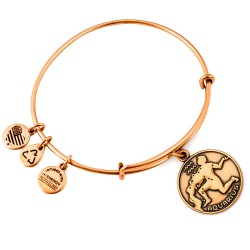 Alex and ani Aquarius II bracelet - Golden (Gold) бижутерия,alex,and,ani,aquarius,ii,bracelet,golden,(gold)