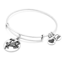 Alex and ani Aries A16EB50RS bracelet - Silver (Silver) бижутерия,alex,and,ani,aries,a16eb50rs,bracelet,silver,(silver)