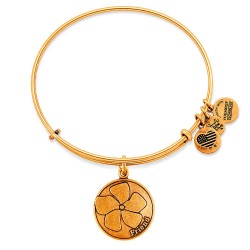 Alex and ani Friend bracelet - Golden (Gold) бижутерия,alex,and,ani,friend,bracelet,golden,(gold)