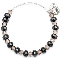 Alex and ani Graphite bracelet - Silver (Silver / Black) бижутерия,alex,and,ani,graphite,bracelet,silver,(silver,black)