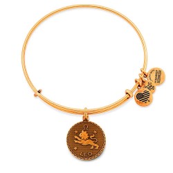 Alex and ani Leo bracelet - Golden (Gold) бижутерия,alex,and,ani,leo,bracelet,golden,(gold)