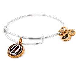 Alex and ani Letter D bracelet - Silver (Silver / Gold) бижутерия,alex,and,ani,letter,d,bracelet,silver,(silver,gold)