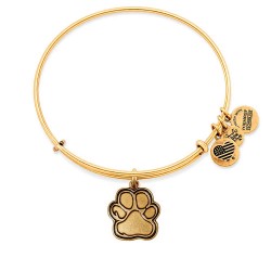Alex and ani Love Footprint bracelet - Golden (Gold) бижутерия,alex,and,ani,love,footprint,bracelet,golden,(gold)