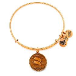 Alex and ani Pisces bracelet - Golden (Gold) бижутерия,alex,and,ani,pisces,bracelet,golden,(gold)