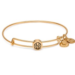 Alex and ani Send Life bracelet - Golden (Gold) бижутерия,alex,and,ani,send,life,bracelet,golden,(gold)