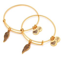 Alex and ani Set Wing bracelet - Golden (Gold) бижутерия,alex,and,ani,set,wing,bracelet,golden,(gold)