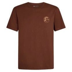 Тениска O´neill O´Riginals Retro Back Print short sleeve T-shirt - Brown (Hazel Spice) тениска,мъжки,тениски,дамски,тениски,o´neill,o´riginals,retro,back,print,short,sleeve,t,shirt,brown,(hazel,spice)