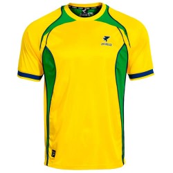 Тениска Joma Retro Mundial 2026 105707 short sleeve T-shirt - Yellow (Yellow / Green) тениска,мъжки,тениски,дамски,тениски,joma,retro,mundial,2026,105707,short,sleeve,t,shirt,yellow,(yellow,green)